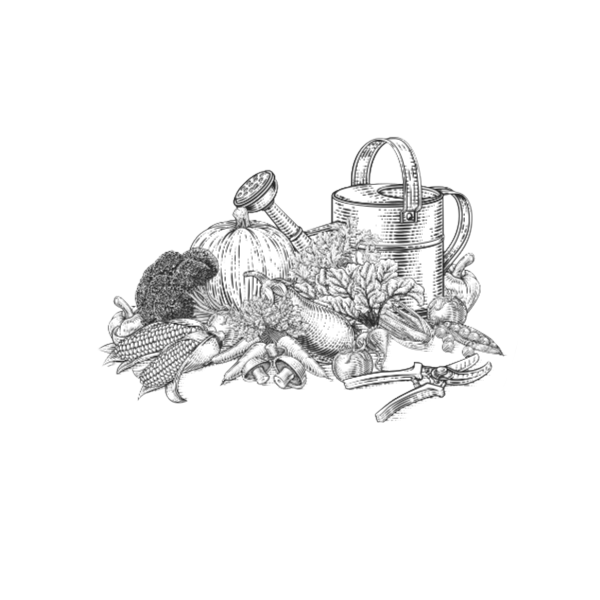 Cotton Hill Catering